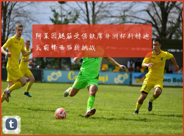 阿莱因腿筋受伤缺席非洲杯科特迪瓦前锋面临新挑战