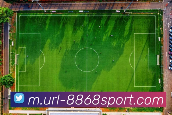 8868体育APP 高清赛事图